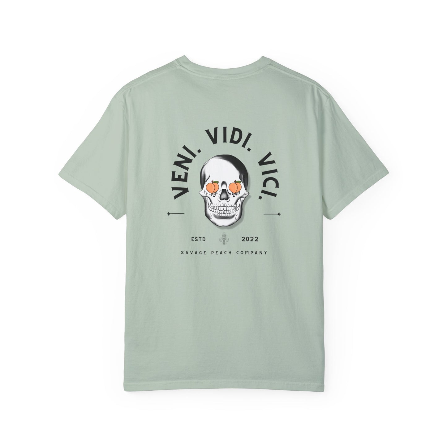 Best Seller Veni Vidi Vici Skull Unisex Heavy Cotton Tee