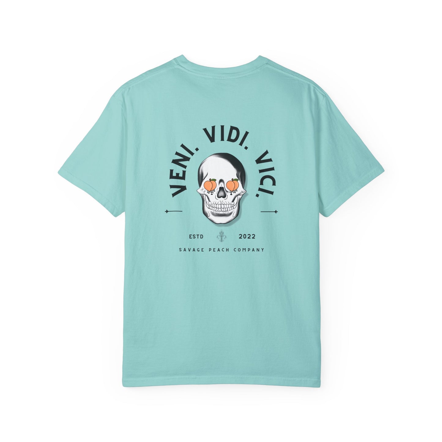 Best Seller Veni Vidi Vici Skull Unisex Heavy Cotton Tee