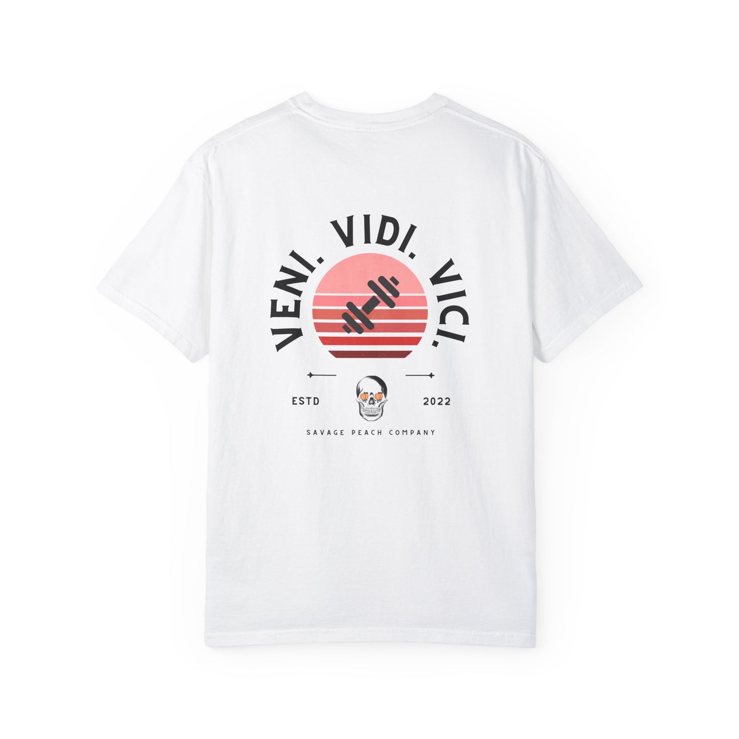 Veni Vidi Vici Unisex Heavy Cotton Tee - Statement T-Shirt for Casual Wear