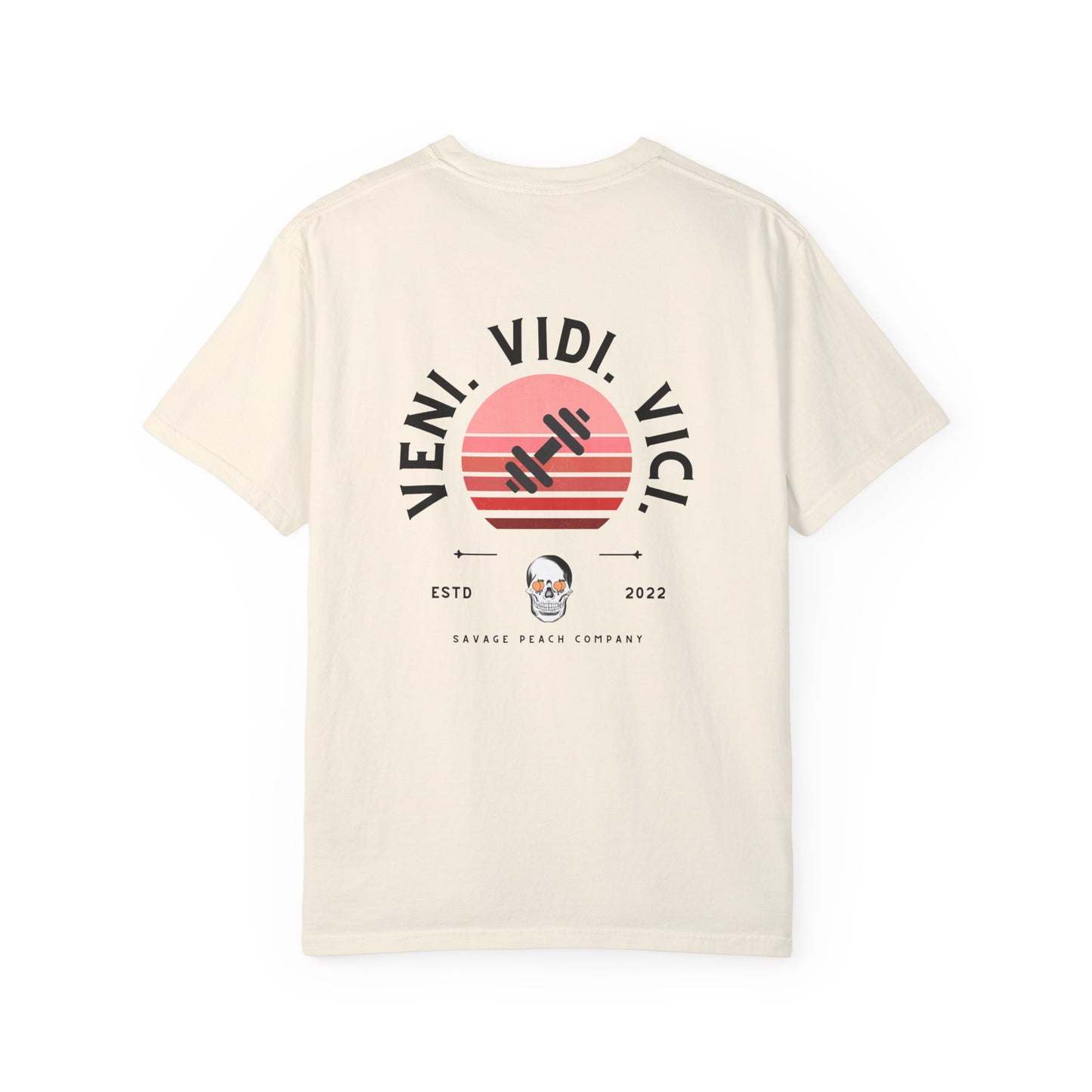 Veni Vidi Vici Unisex Heavy Cotton Tee - Statement T-Shirt for Casual Wear